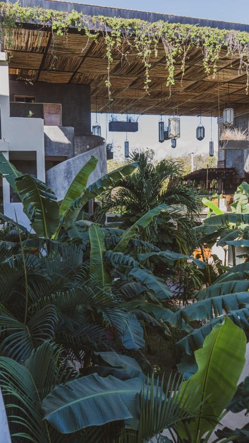Xperience Tulum Hotel Exterior photo Musa basjoo
